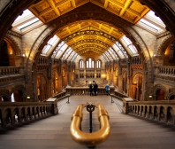 蓋在三樓牆邊的雲霄飛車，兒童新樂園挑戰小孩尖叫極限