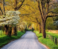 這些高科技玩具或許能把孩子從螢幕前引開